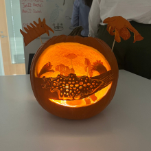 The winning pumpkin!