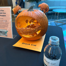 Our pumpkin collecting votes at the retreat